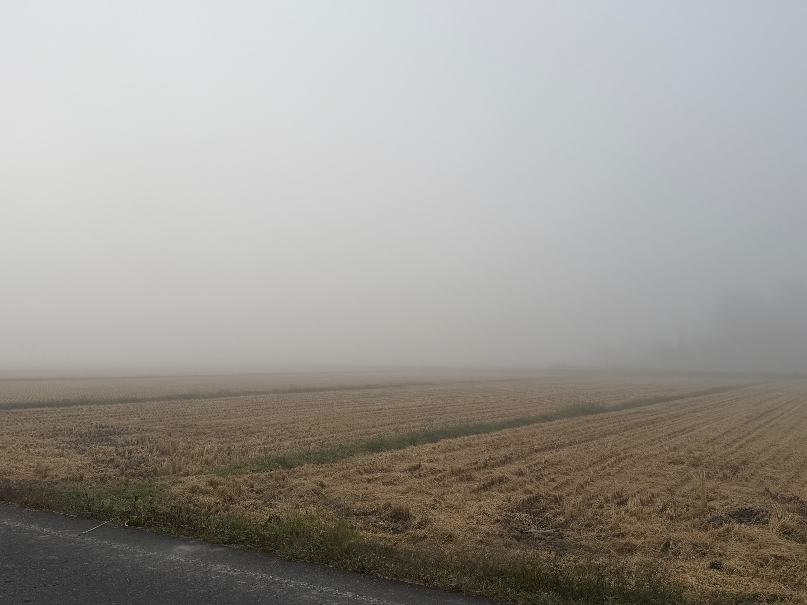 秋の朝霧